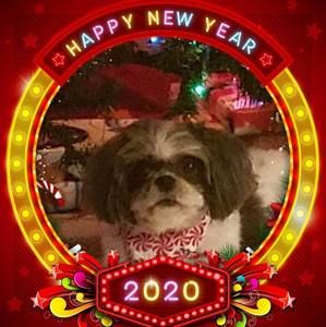 Meet your Posher, Debby